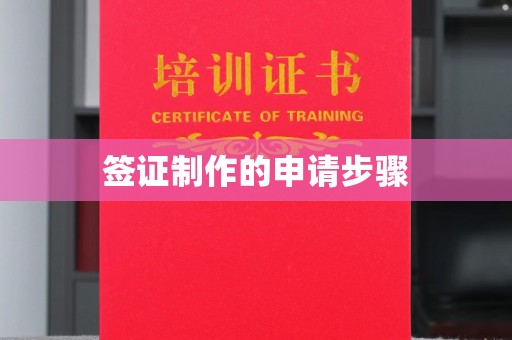 白银签证制作的申请步骤
