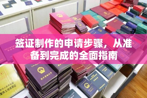白银签证制作的申请步骤，从准备到完成的全面指南