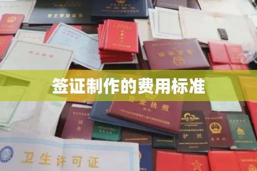 白银签证制作的费用标准