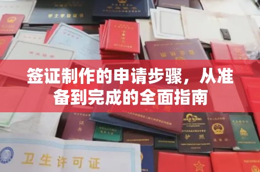 白银签证制作的申请步骤，从准备到完成的全面指南