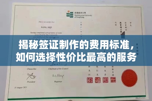 白银揭秘签证制作的费用标准，如何选择性价比最高的服务？